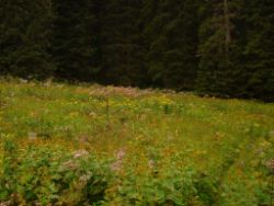 2013-08-17_Wettersteinhuette _Regina-F-Rau (082).JPG